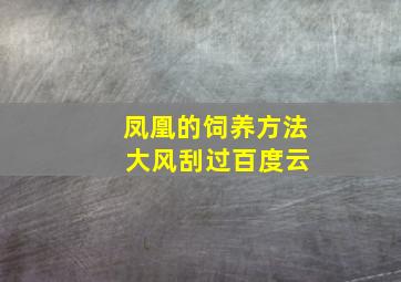 凤凰的饲养方法 大风刮过百度云